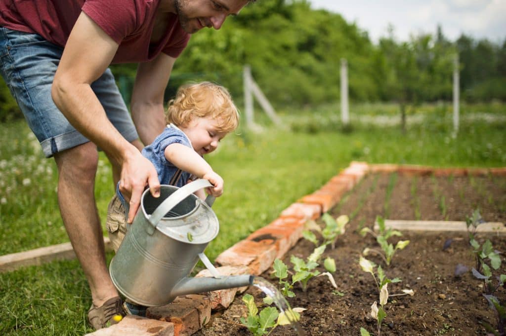 économie eau jardin Travéo