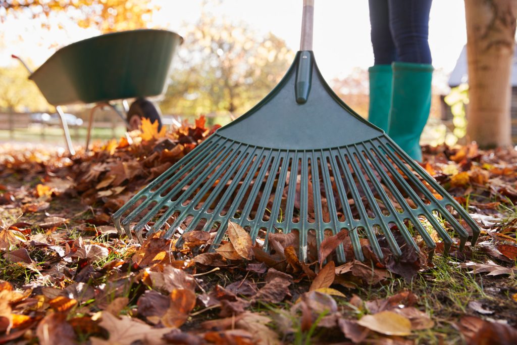 préparation jardin automne Travéo