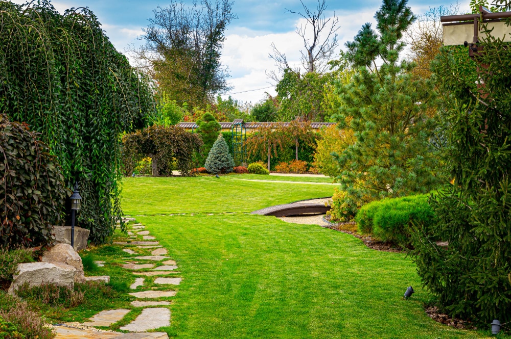 aménagement jardin vorion